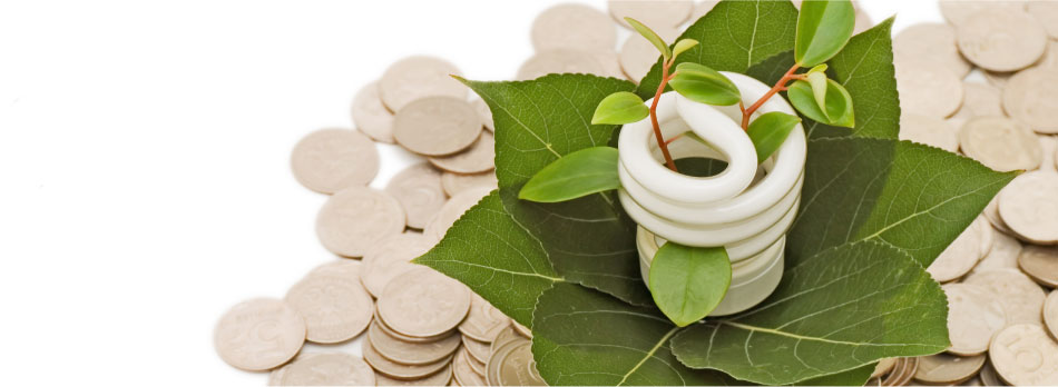 Trabajamos hacia un mundo más sostenible